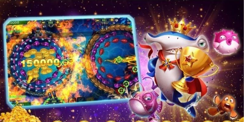 Các quy tắc nền tảng trong săn ngư