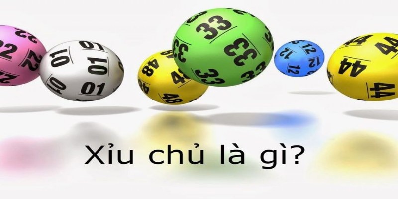 Kiến thức cơ bản dành cho người mới về xỉu chủ