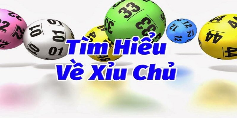 Kiến thức quan trọng cần nắm khi bắt xỉu chủ