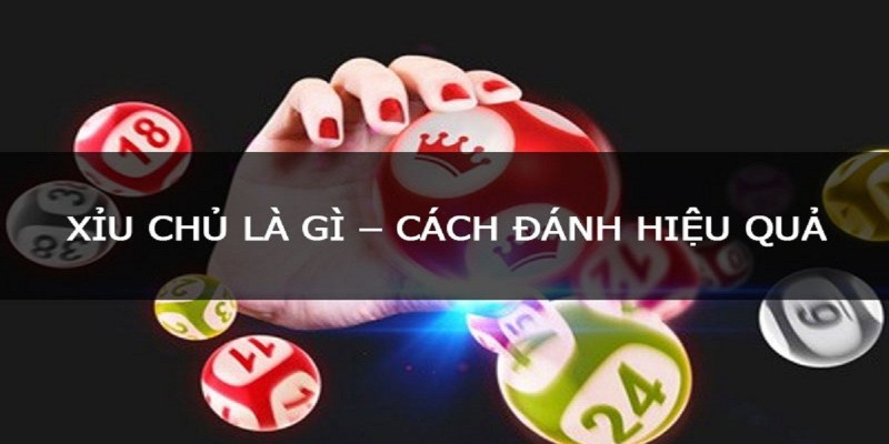 Lý do thành viên cần học cách bắt xỉu chủ