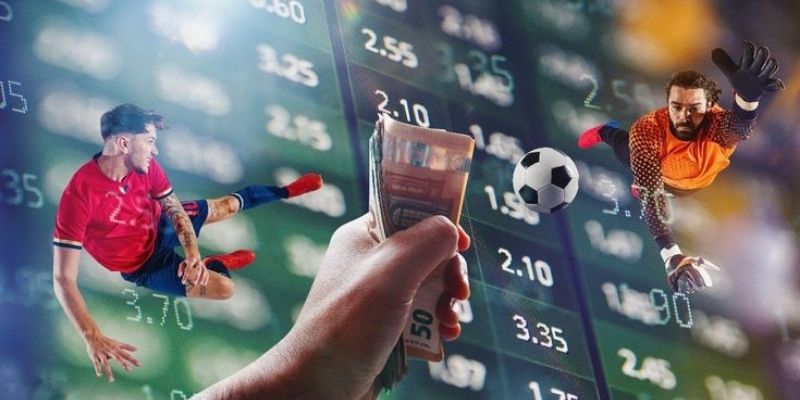 Tổng quan cơ bản về cửa cược dành cho người chơi mới