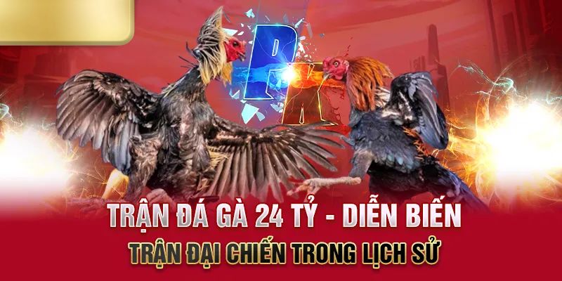 Trận Đá Gà 24 Tỷ – Màn So Găng Thế Kỷ, Hồi Hộp Từng Giây